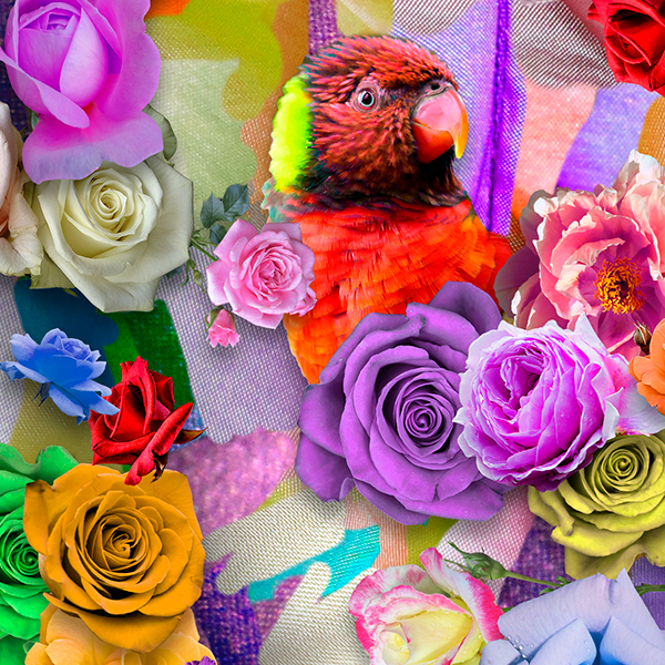 detail met rode parkiet op de jurk van Marloes Otten