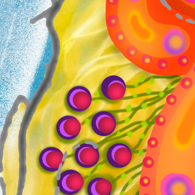 detail van de hoed in digitaal kunstwerk Meisje met Hoed van Marloes Otten