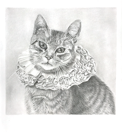 grijs zwarte tekening van gestreepte kat met kanten molensteenkraag uit de zeventiende eeuw